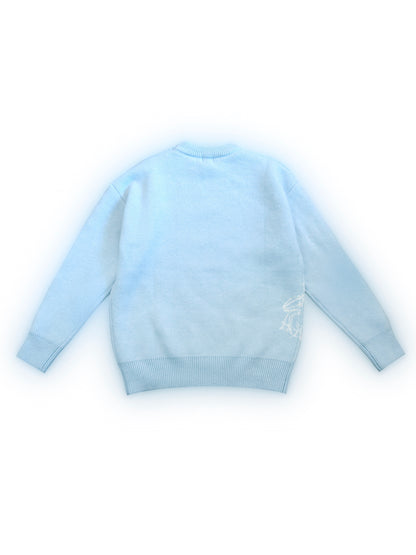 Frost Blue Sweater